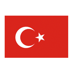 Türkçe